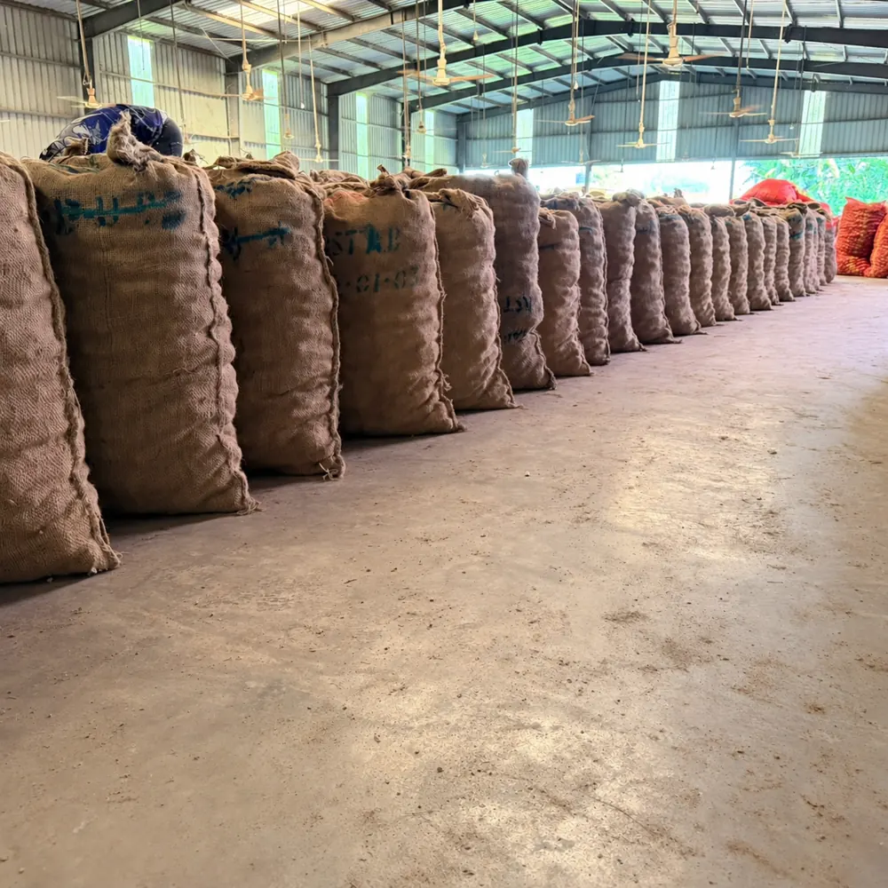 Rows of potato sacks in a storage warehouse