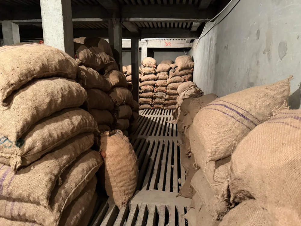Stored potatoes supplied by Grey Imports